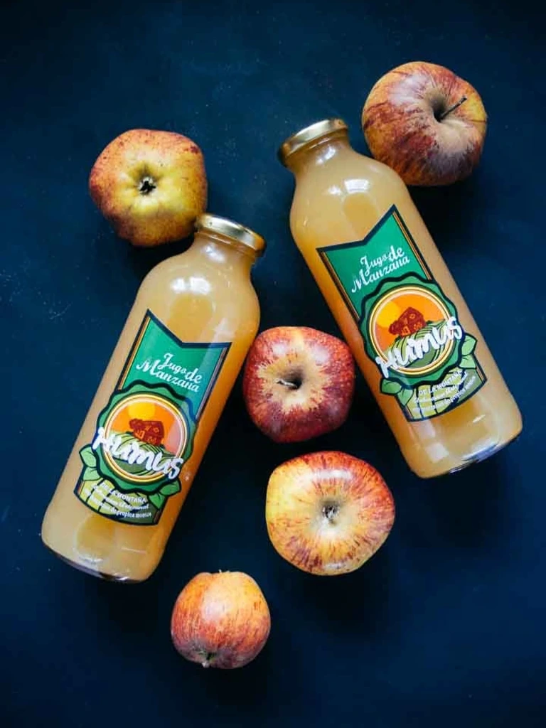 Jugo de manzana - Humus x 500 cc