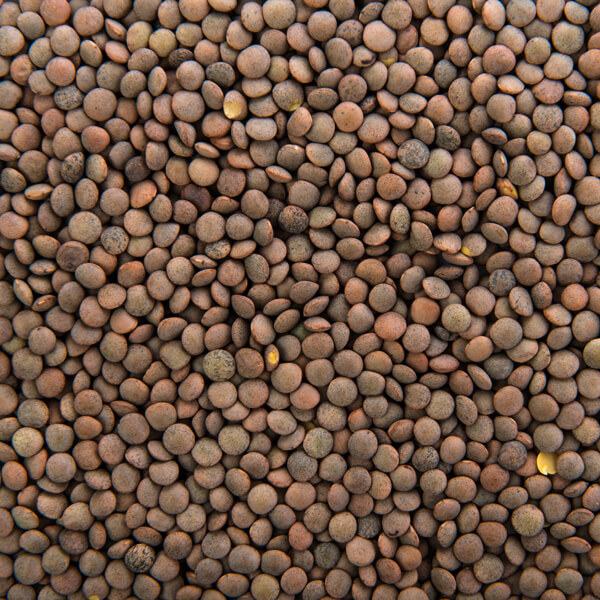 Lentejas - Salve la Tierra x 1 kg